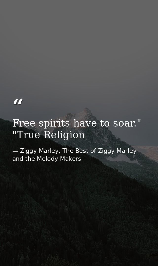 Free spirits have to soar." "True Religion — Ziggy Marley, The Best of Ziggy Marley and the Melody Makers