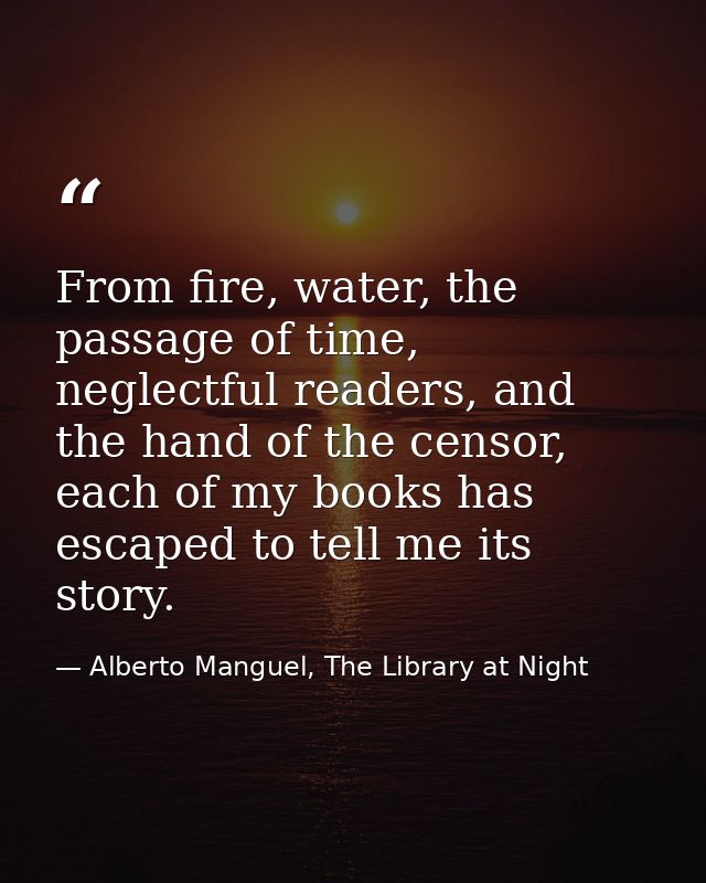 From fire, water, the passage of time, neglectful readers, and the hand of the censor, each of my books has escaped to t — Alberto Manguel, The Library at Night