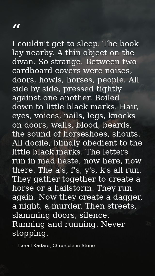I couldn't get to sleep. The book lay nearby. A thin object on the divan. So strange. Between two cardboard covers were  — Ismail Kadare, Chronicle in Stone