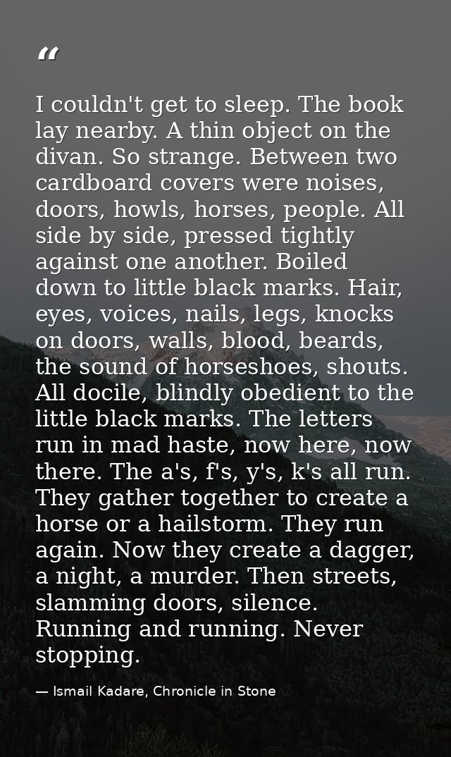 I couldn't get to sleep. The book lay nearby. A thin object on the divan. So strange. Between two cardboard covers were  — Ismail Kadare, Chronicle in Stone