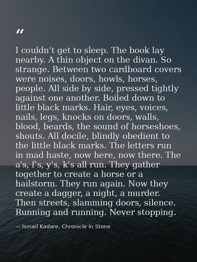 I couldn't get to sleep. The book lay nearby. A thin object on the divan. So strange. Between two cardboard covers were  — Ismail Kadare, Chronicle in Stone