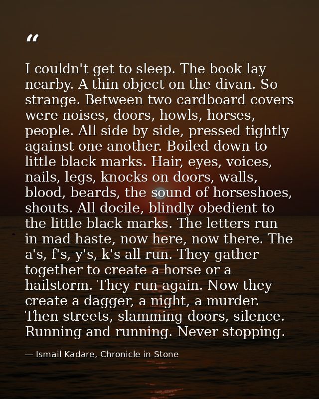 I couldn't get to sleep. The book lay nearby. A thin object on the divan. So strange. Between two cardboard covers were  — Ismail Kadare, Chronicle in Stone