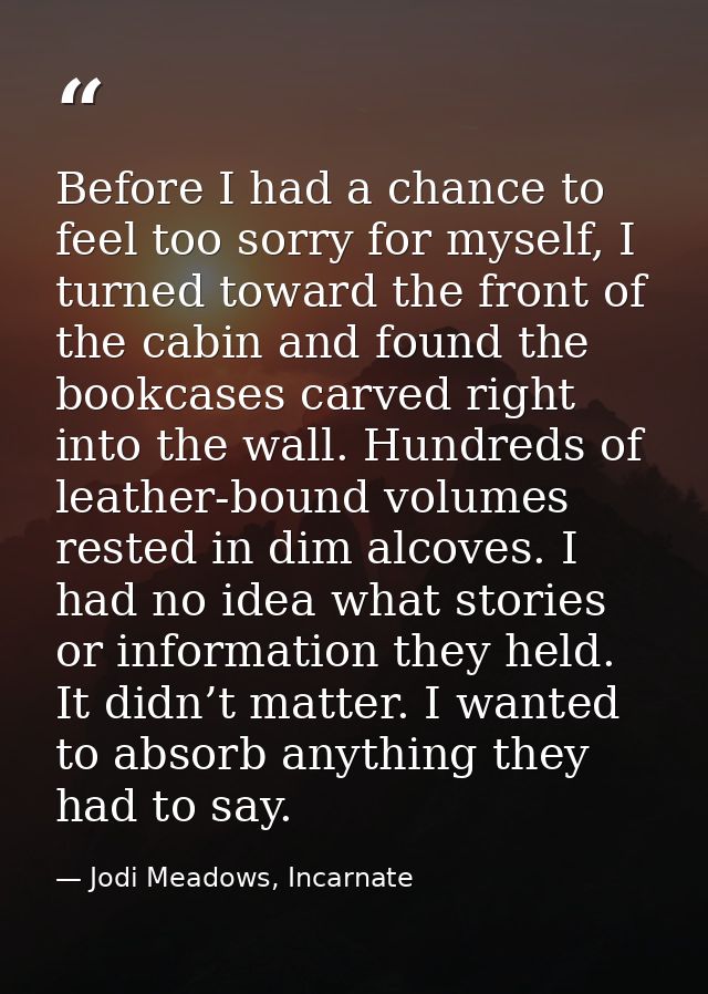 Before I had a chance to feel too sorry for myself, I turned toward the front of the cabin and found the bookcases carve — Jodi Meadows, Incarnate