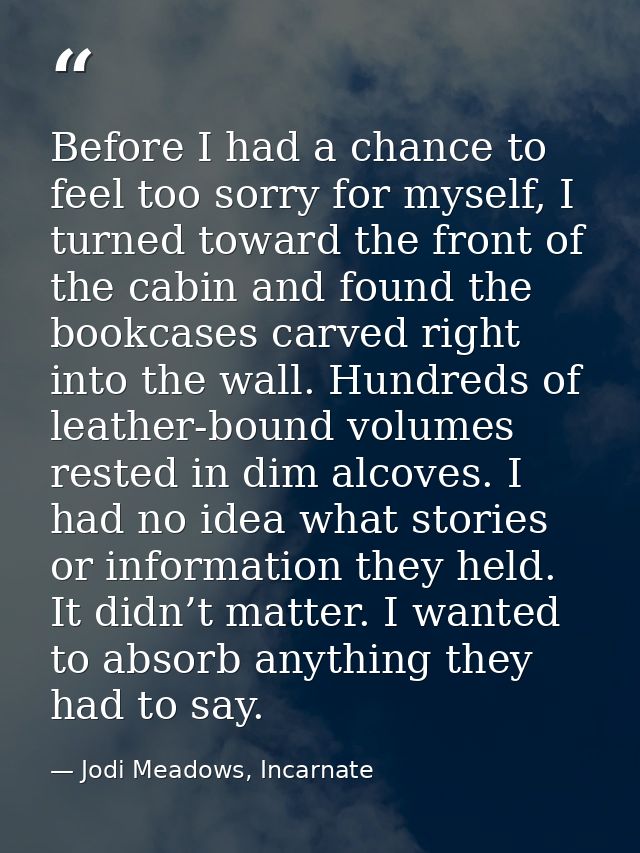 Before I had a chance to feel too sorry for myself, I turned toward the front of the cabin and found the bookcases carve — Jodi Meadows, Incarnate