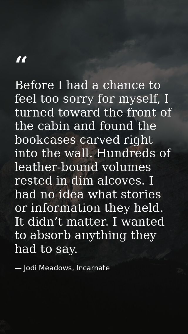 Before I had a chance to feel too sorry for myself, I turned toward the front of the cabin and found the bookcases carve — Jodi Meadows, Incarnate