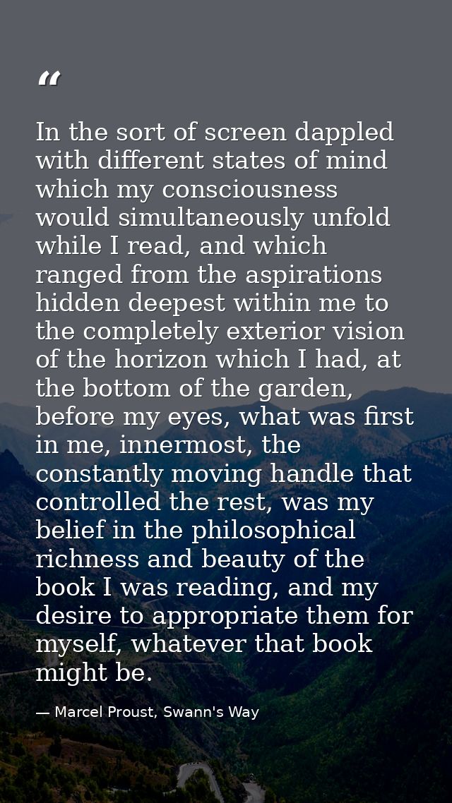 In the sort of screen dappled with different states of mind which my consciousness would simultaneously unfold while I r — Marcel Proust, Swann's Way