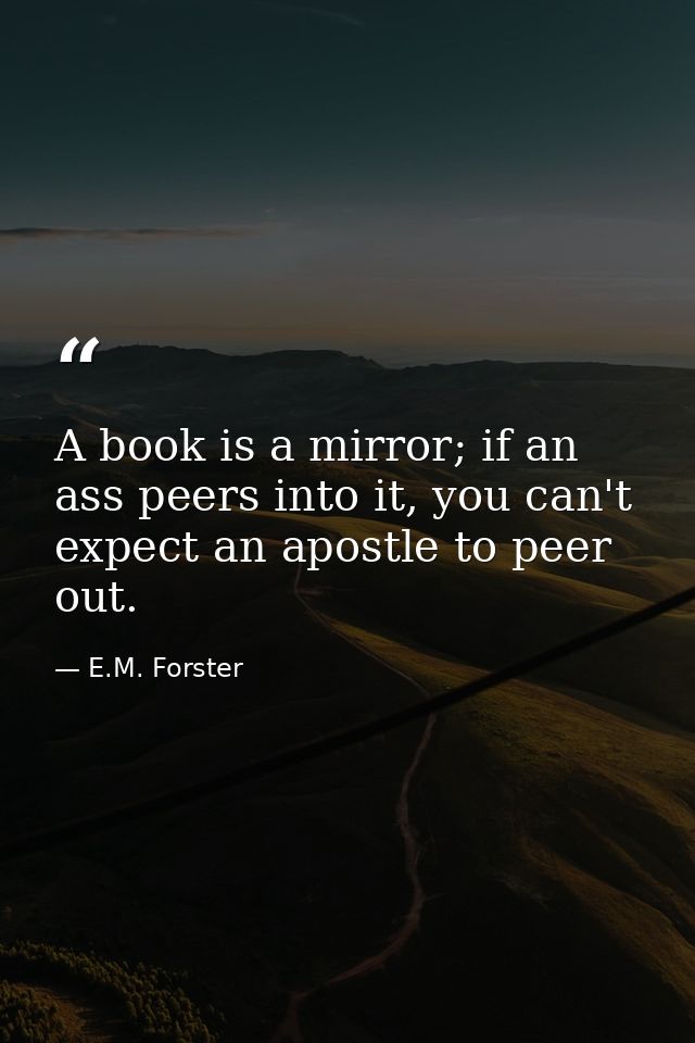 A book is a mirror; if an ass peers into it, you can't expect an apostle to peer out. — E.M. Forster