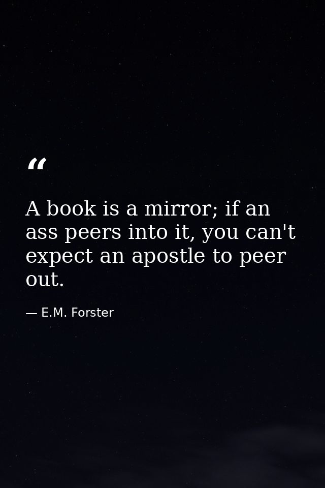 A book is a mirror; if an ass peers into it, you can't expect an apostle to peer out. — E.M. Forster