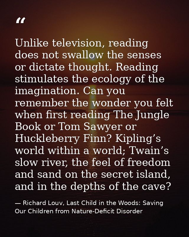Unlike television, reading does not swallow the senses or dictate thought. Reading stimulates the ecology of the imagina — Richard Louv, Last Child in the Woods: Saving Our Children from Nature-Deficit Disorder