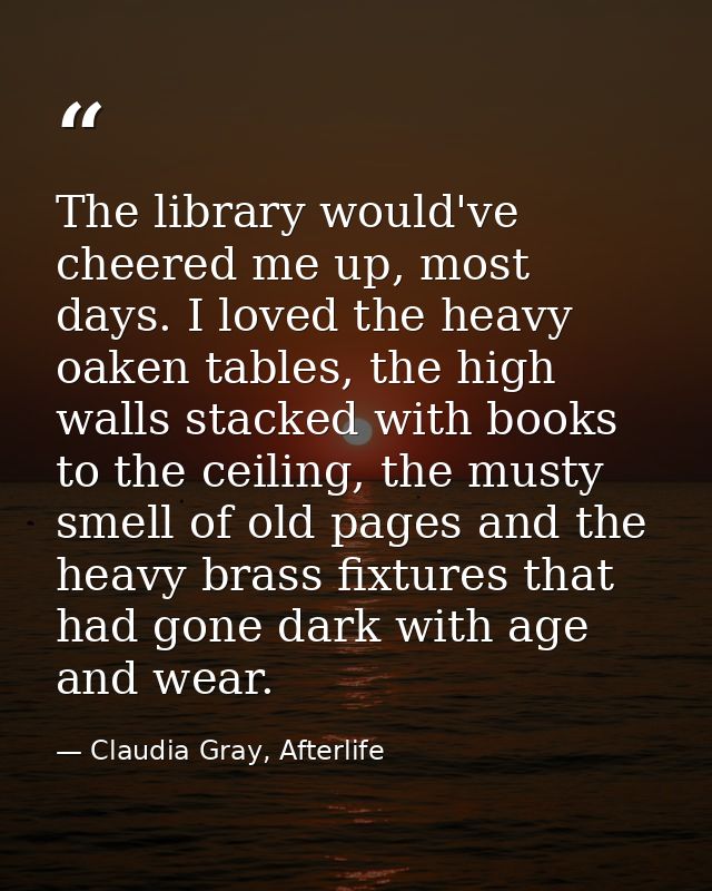 The library would've cheered me up, most days. I loved the heavy oaken tables, the high walls stacked with books to the  — Claudia Gray, Afterlife