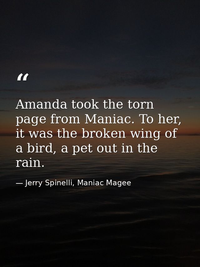 Amanda took the torn page from Maniac. To her, it was the broken wing of a bird, a pet out in the rain. — Jerry Spinelli, Maniac Magee