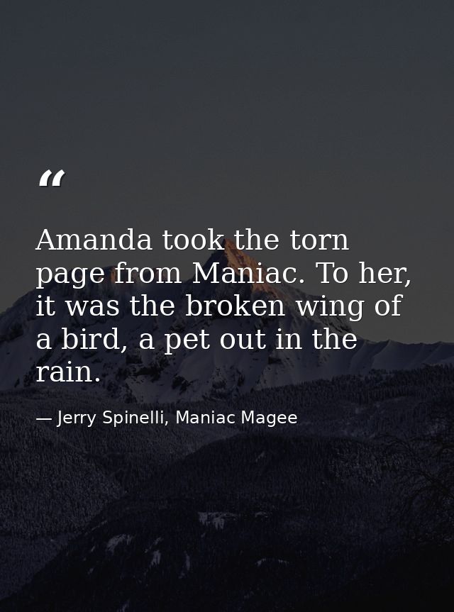 Amanda took the torn page from Maniac. To her, it was the broken wing of a bird, a pet out in the rain. — Jerry Spinelli, Maniac Magee