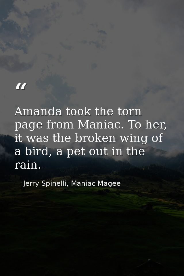 Amanda took the torn page from Maniac. To her, it was the broken wing of a bird, a pet out in the rain. — Jerry Spinelli, Maniac Magee