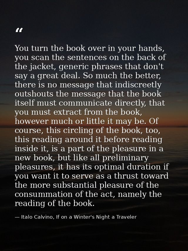 You turn the book over in your hands, you scan the sentences on the back of the jacket, generic phrases that don't say a — Italo Calvino, If on a Winter's Night a Traveler