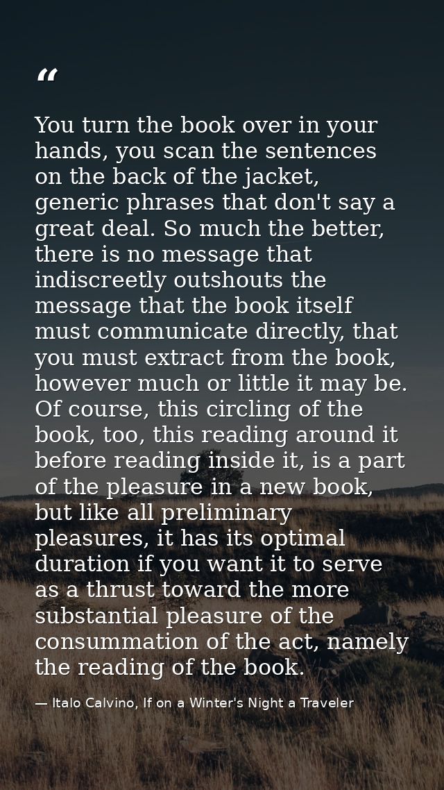 You turn the book over in your hands, you scan the sentences on the back of the jacket, generic phrases that don't say a — Italo Calvino, If on a Winter's Night a Traveler