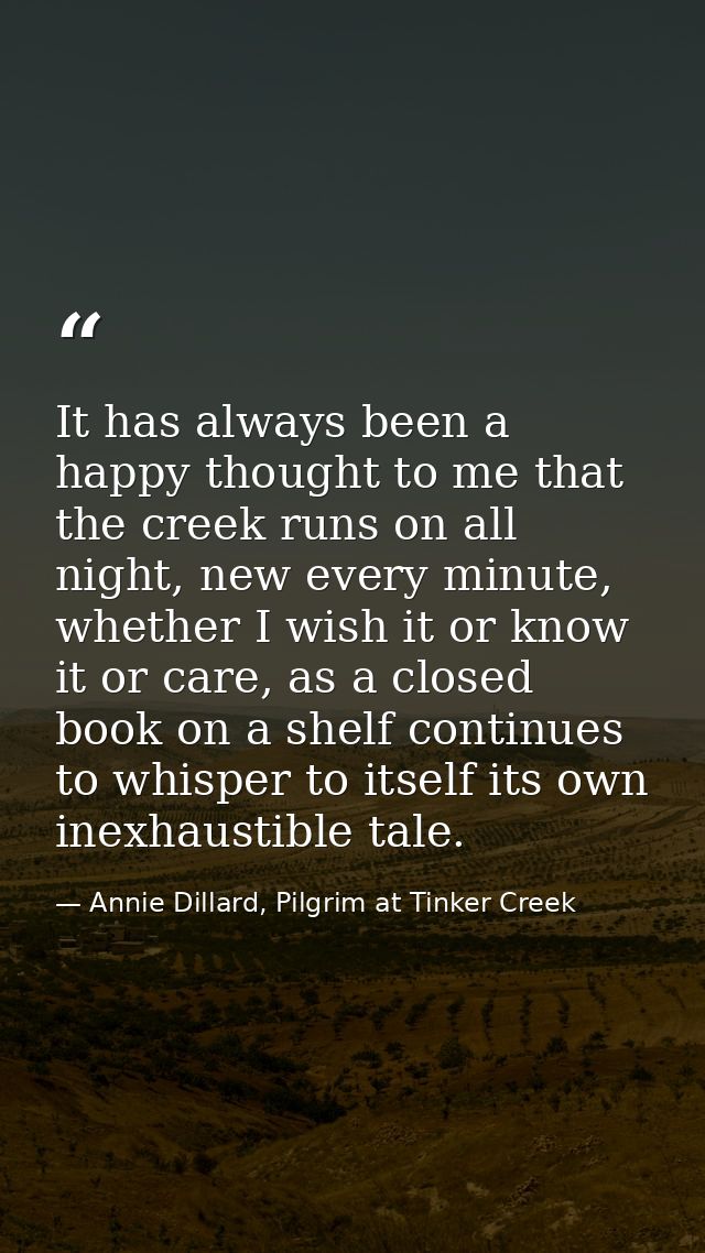 It has always been a happy thought to me that the creek runs on all night, new every minute, whether I wish it or know i — Annie Dillard, Pilgrim at Tinker Creek