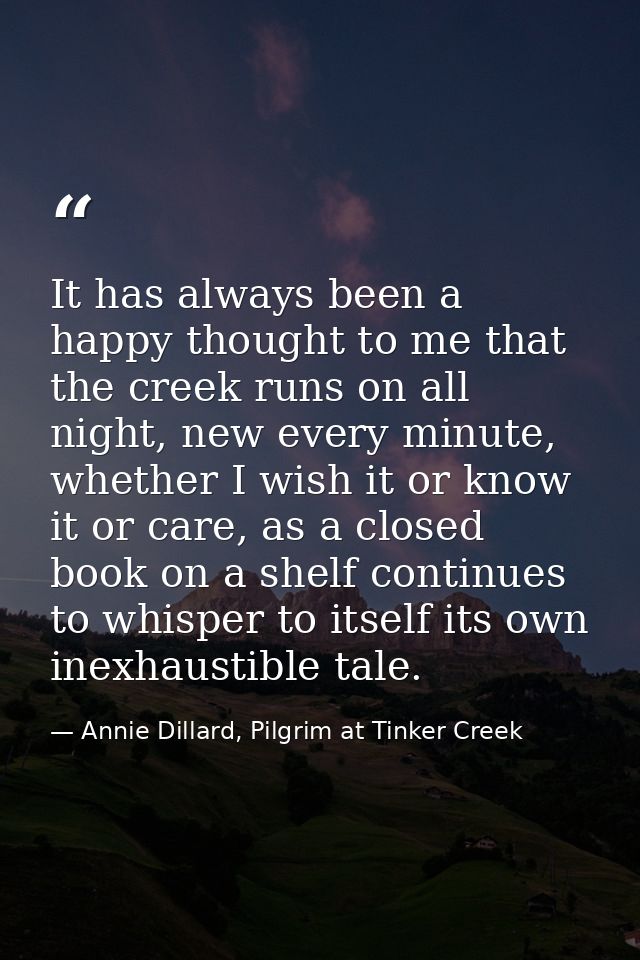 It has always been a happy thought to me that the creek runs on all night, new every minute, whether I wish it or know i — Annie Dillard, Pilgrim at Tinker Creek