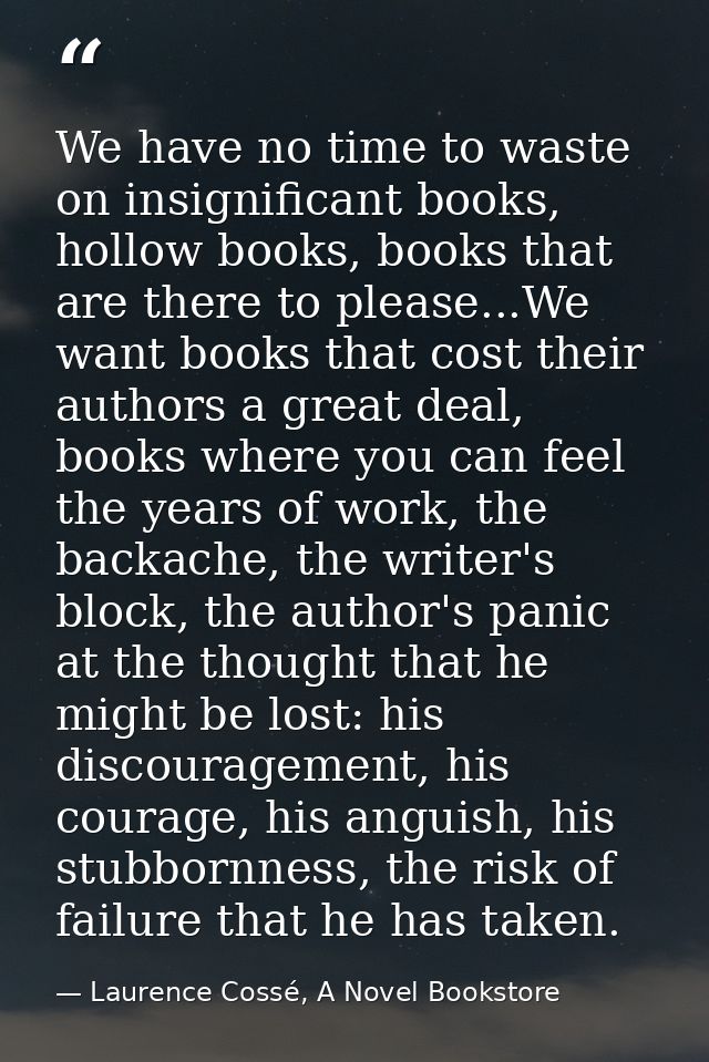 We have no time to waste on insignificant books, hollow books, books that are there to please...We want books that cost  — Laurence Cossé, A Novel Bookstore