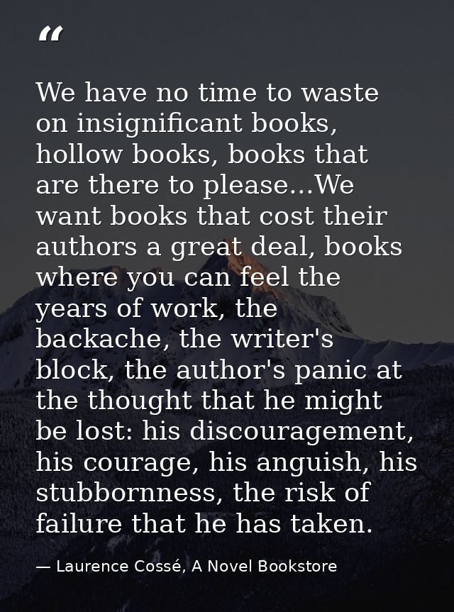 We have no time to waste on insignificant books, hollow books, books that are there to please...We want books that cost  — Laurence Cossé, A Novel Bookstore