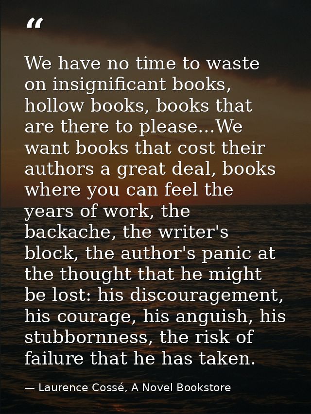 We have no time to waste on insignificant books, hollow books, books that are there to please...We want books that cost  — Laurence Cossé, A Novel Bookstore