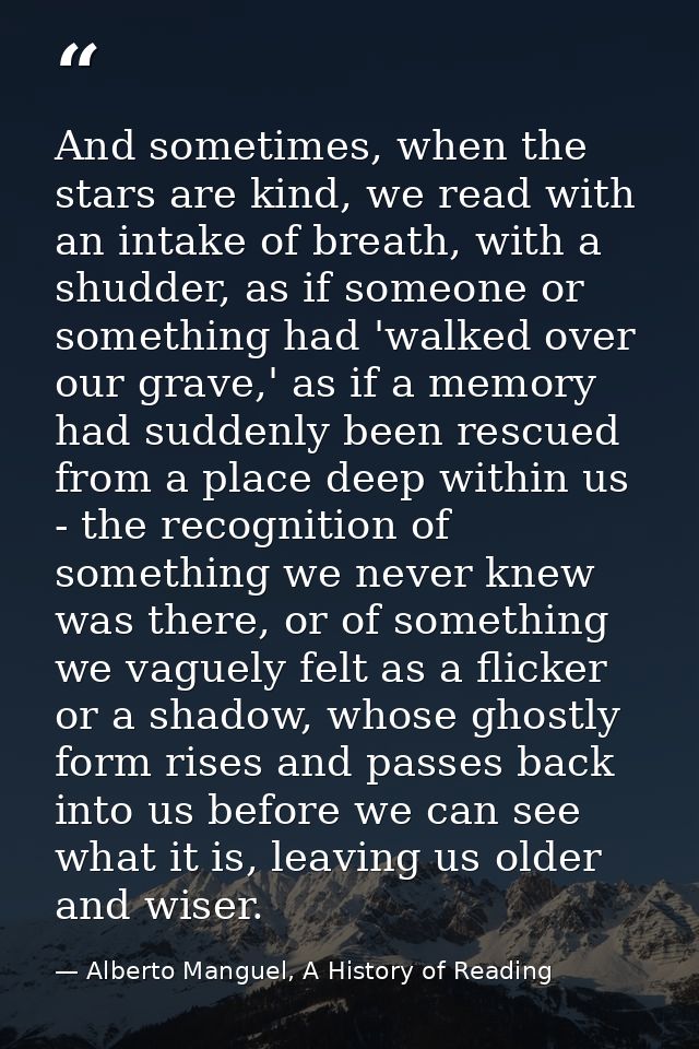 And sometimes, when the stars are kind, we read with an intake of breath, with a shudder, as if someone or something had — Alberto Manguel, A History of Reading