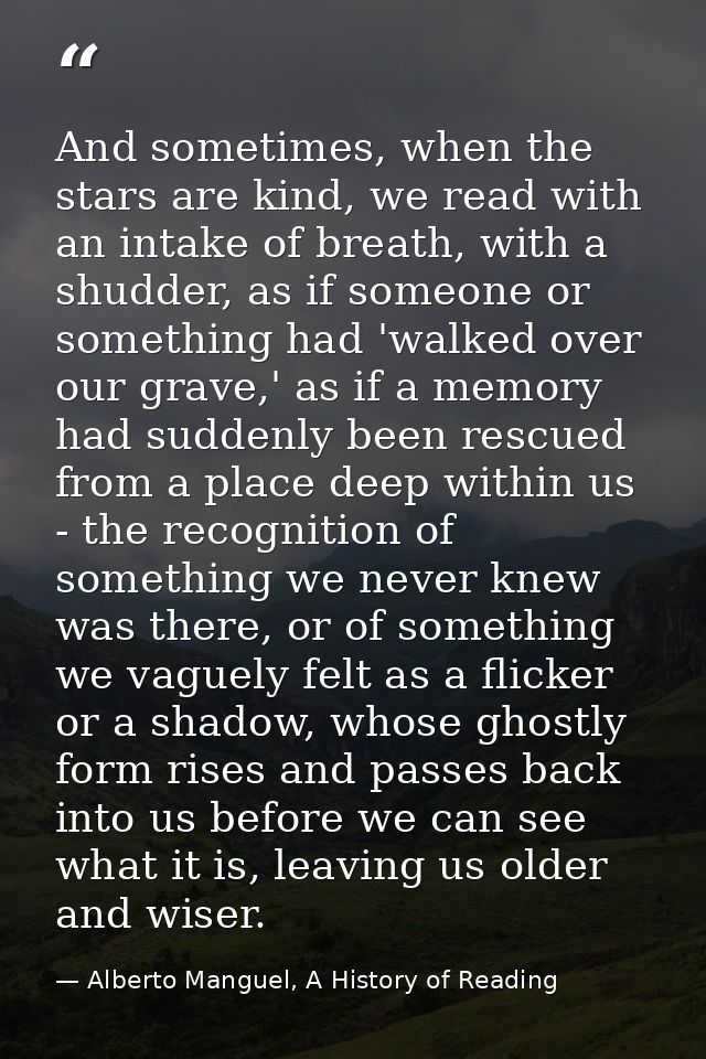 And sometimes, when the stars are kind, we read with an intake of breath, with a shudder, as if someone or something had — Alberto Manguel, A History of Reading
