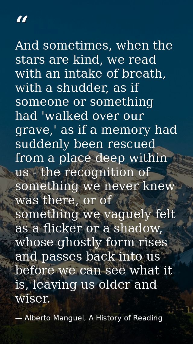 And sometimes, when the stars are kind, we read with an intake of breath, with a shudder, as if someone or something had — Alberto Manguel, A History of Reading