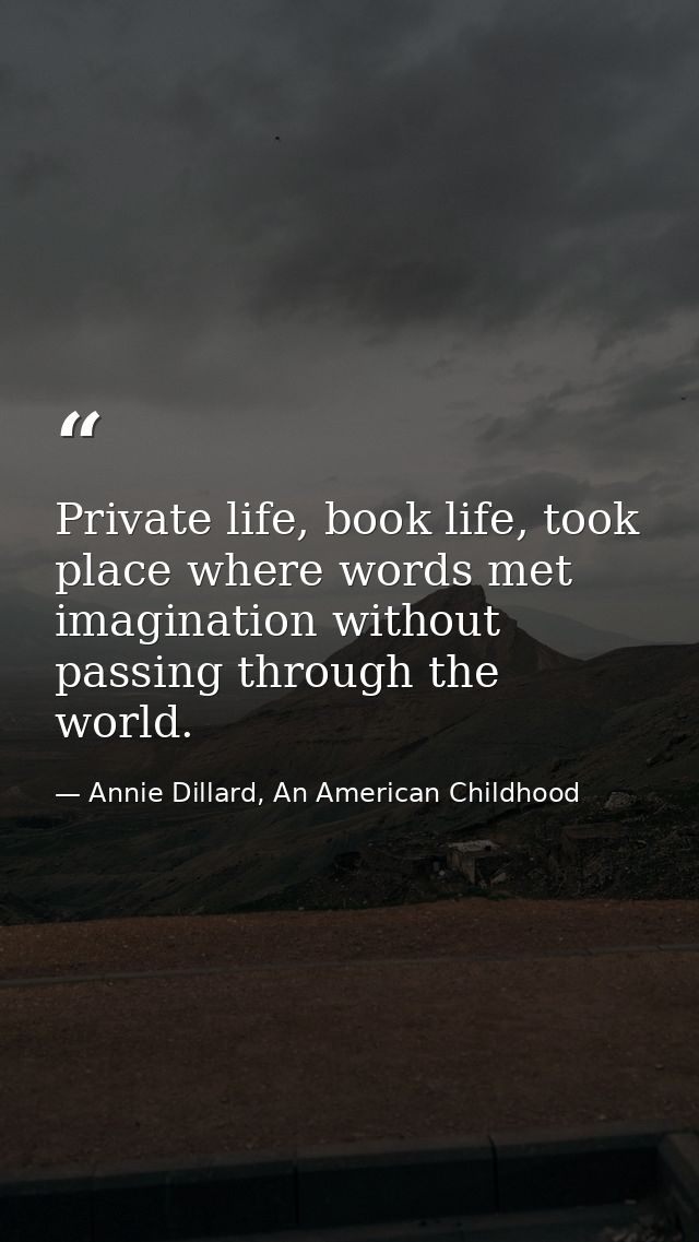 Private life, book life, took place where words met imagination without passing through the world. — Annie Dillard, An American Childhood