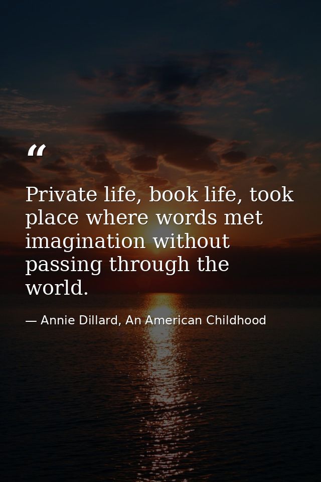 Private life, book life, took place where words met imagination without passing through the world. — Annie Dillard, An American Childhood