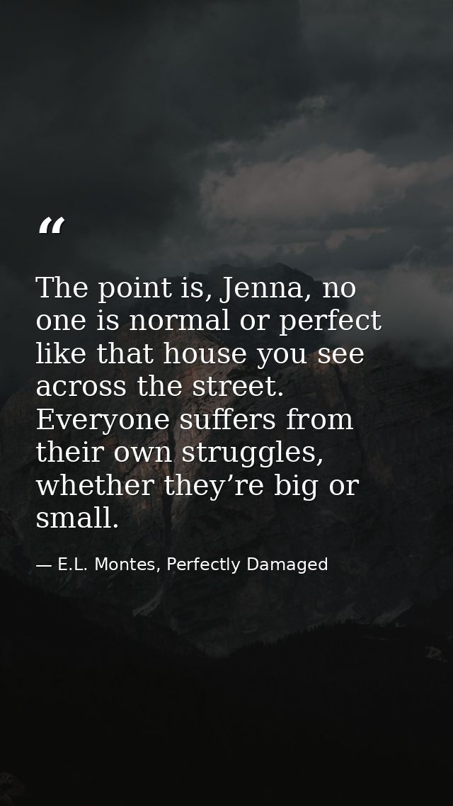 The point is, Jenna, no one is normal or perfect like that house you see across the street. Everyone suffers from their  — E.L. Montes, Perfectly Damaged