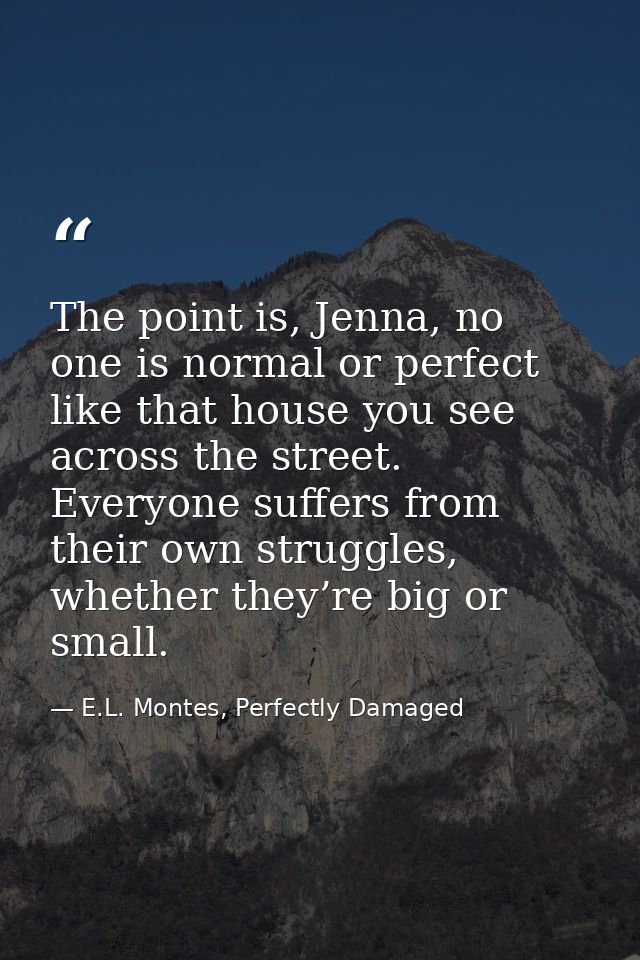 The point is, Jenna, no one is normal or perfect like that house you see across the street. Everyone suffers from their  — E.L. Montes, Perfectly Damaged