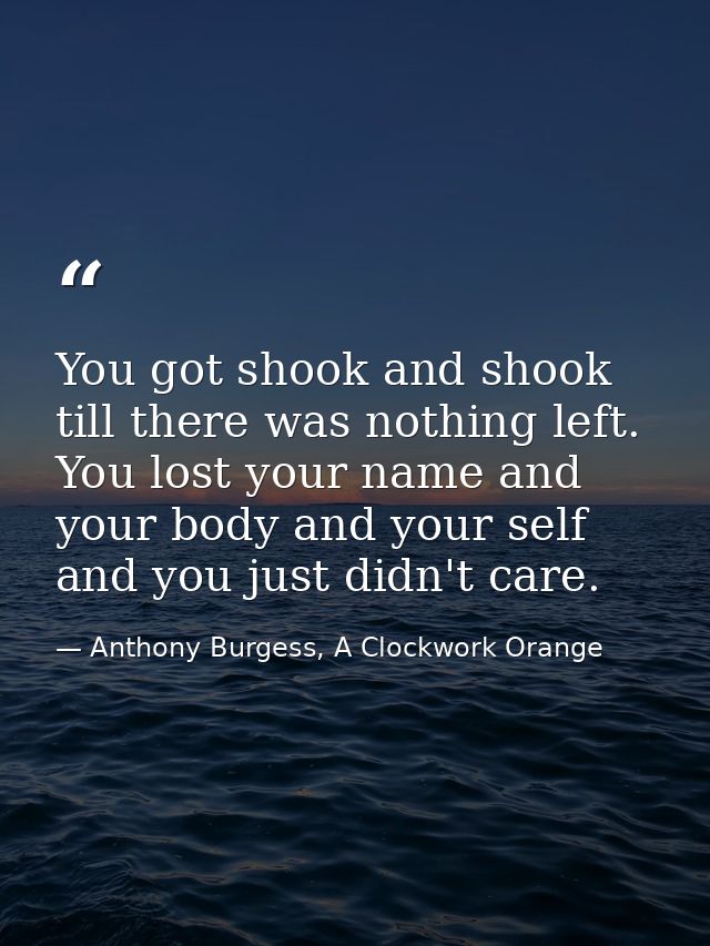 You got shook and shook till there was nothing left. You lost your name and your body and your self and you just didn't  — Anthony Burgess, A Clockwork Orange