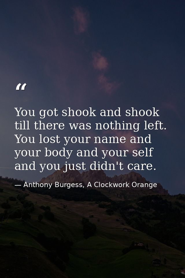 You got shook and shook till there was nothing left. You lost your name and your body and your self and you just didn't  — Anthony Burgess, A Clockwork Orange
