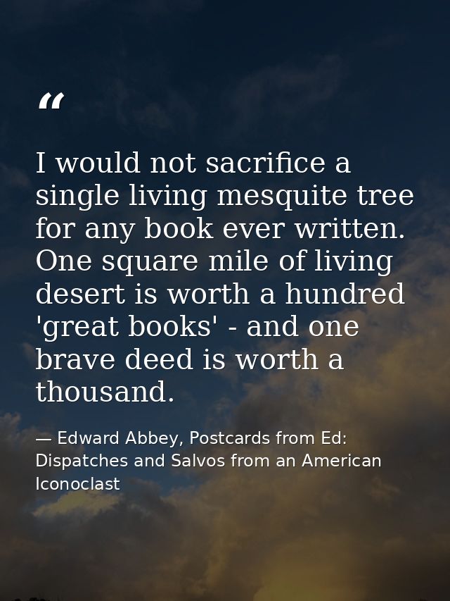 I would not sacrifice a single living mesquite tree for any book ever written. One square mile of living desert is worth — Edward Abbey, Postcards from Ed: Dispatches and Salvos from an American Iconoclast