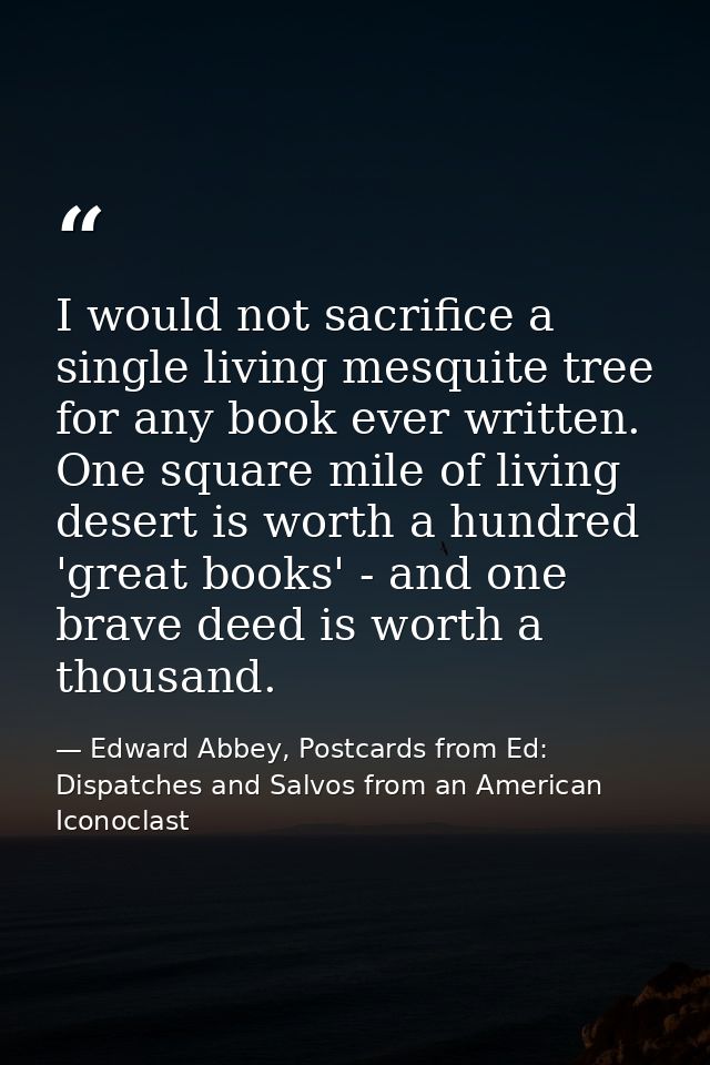 I would not sacrifice a single living mesquite tree for any book ever written. One square mile of living desert is worth — Edward Abbey, Postcards from Ed: Dispatches and Salvos from an American Iconoclast