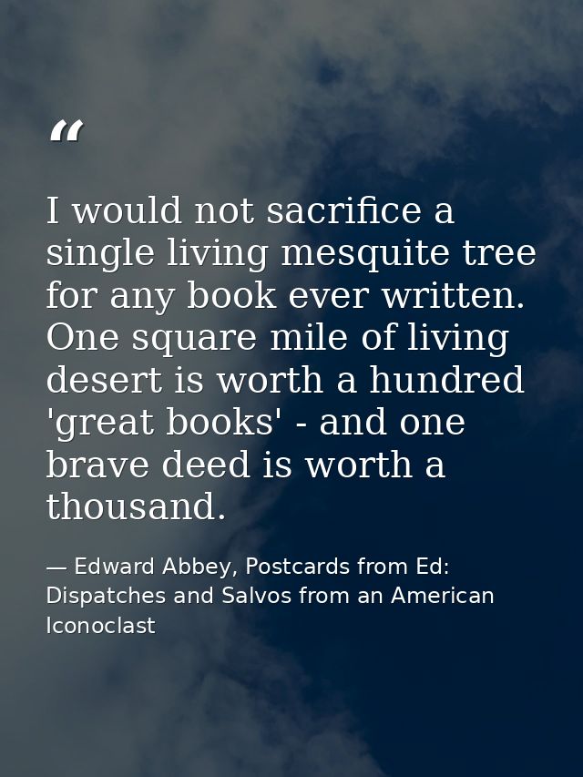 I would not sacrifice a single living mesquite tree for any book ever written. One square mile of living desert is worth — Edward Abbey, Postcards from Ed: Dispatches and Salvos from an American Iconoclast