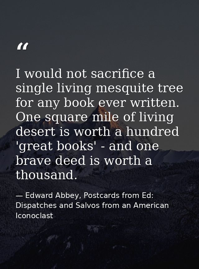 I would not sacrifice a single living mesquite tree for any book ever written. One square mile of living desert is worth — Edward Abbey, Postcards from Ed: Dispatches and Salvos from an American Iconoclast