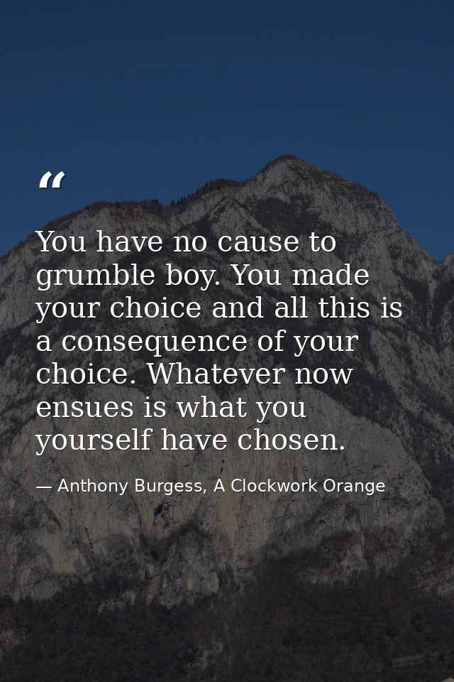 You have no cause to grumble boy. You made your choice and all this is a consequence of your choice. Whatever now ensues — Anthony Burgess, A Clockwork Orange