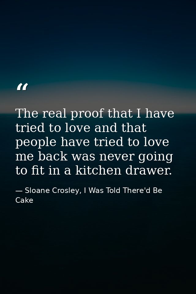 The real proof that I have tried to love and that people have tried to love me back was never going to fit in a kitchen  — Sloane Crosley, I Was Told There'd Be Cake