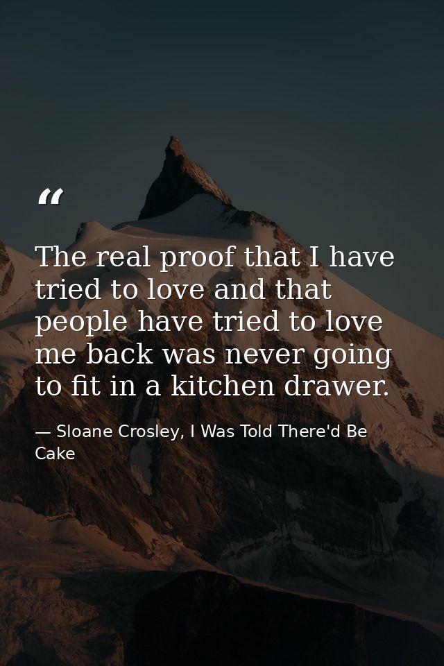 The real proof that I have tried to love and that people have tried to love me back was never going to fit in a kitchen  — Sloane Crosley, I Was Told There'd Be Cake