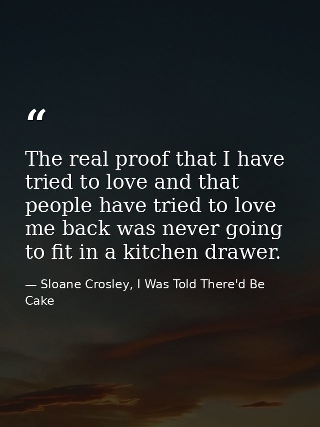 The real proof that I have tried to love and that people have tried to love me back was never going to fit in a kitchen  — Sloane Crosley, I Was Told There'd Be Cake