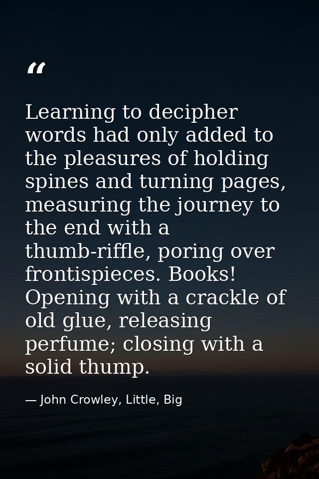 Learning to decipher words had only added to the pleasures of holding spines and turning pages, measuring the journey to — John Crowley, Little, Big