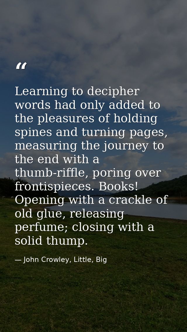 Learning to decipher words had only added to the pleasures of holding spines and turning pages, measuring the journey to — John Crowley, Little, Big