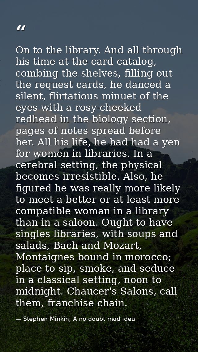 On to the library. And all through his time at the card catalog, combing the shelves, filling out the request cards, he  — Stephen Minkin, A no doubt mad idea