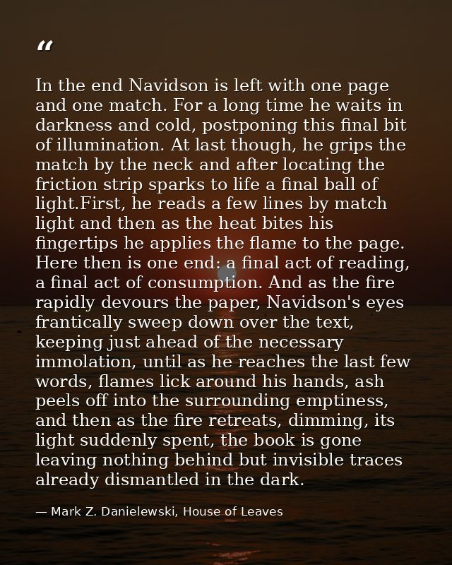 In the end Navidson is left with one page and one match. For a long time he waits in darkness and cold, postponing this  — Mark Z. Danielewski, House of Leaves