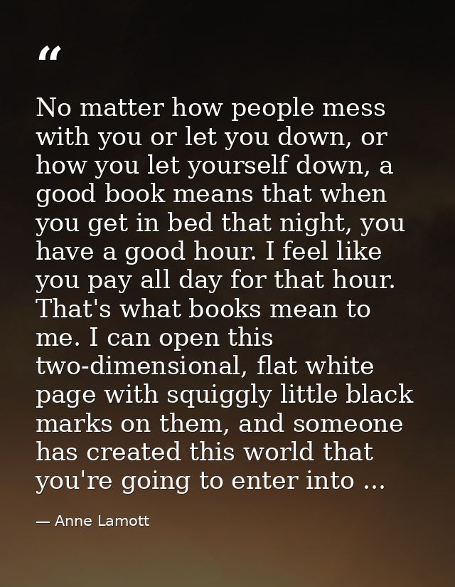 No matter how people mess with you or let you down, or how you let yourself down, a good book means that when you get in — Anne Lamott