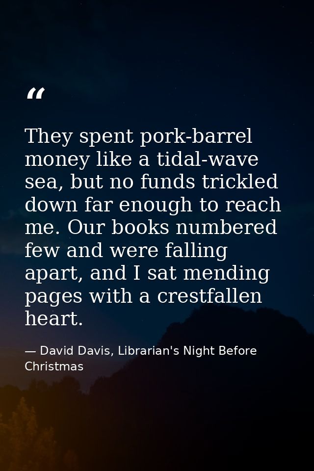 They spent pork-barrel money like a tidal-wave sea, but no funds trickled down far enough to reach me. Our books numbere — David Davis, Librarian's Night Before Christmas