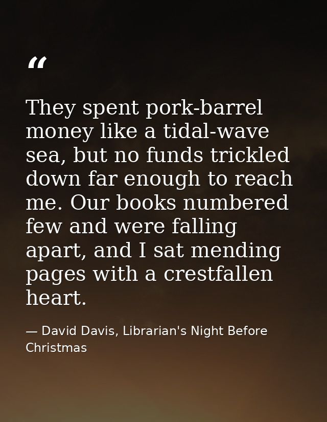They spent pork-barrel money like a tidal-wave sea, but no funds trickled down far enough to reach me. Our books numbere — David Davis, Librarian's Night Before Christmas