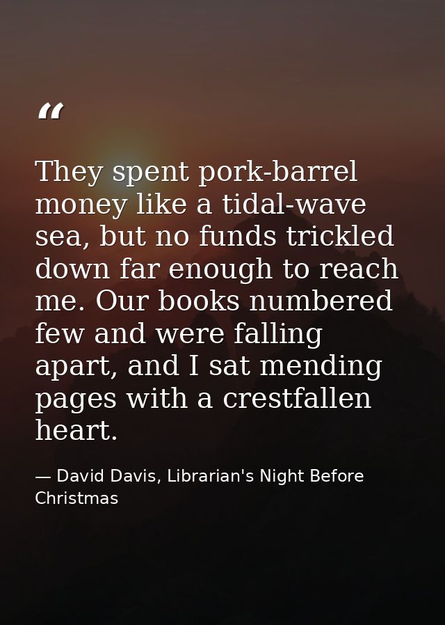 They spent pork-barrel money like a tidal-wave sea, but no funds trickled down far enough to reach me. Our books numbere — David Davis, Librarian's Night Before Christmas