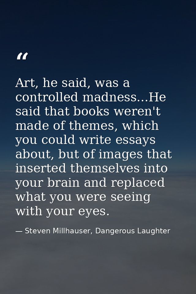 Art, he said, was a controlled madness...He said that books weren't made of themes, which you could write essays about,  — Steven Millhauser, Dangerous Laughter